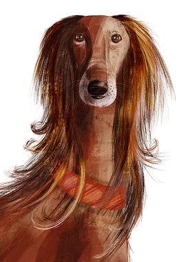 A long haired beauty