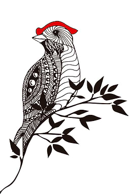 bird doodle art