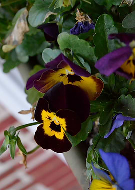 Hanging Over the Edge