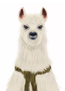 Llama llama