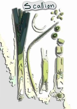 vegetables scallion