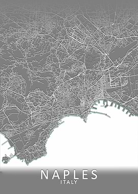 Naples Grey City Map