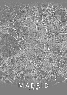 Madrid Grey City Map