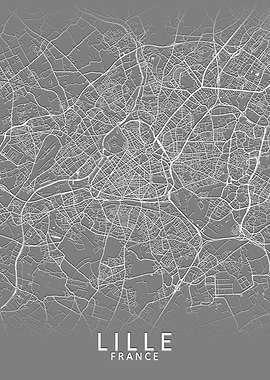 Lille Grey City Map