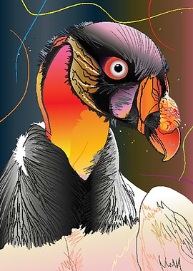 King Vulture