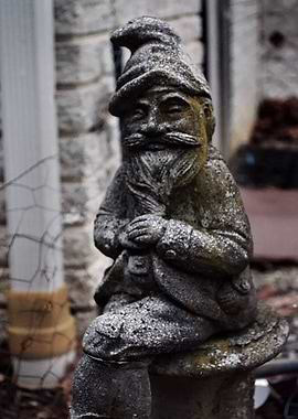 Gnome