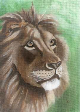 Lion 2
