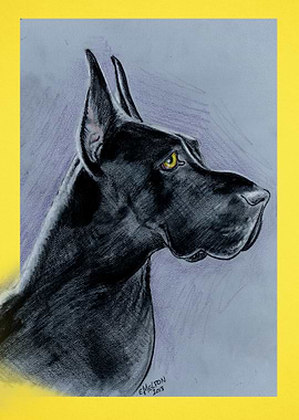 Great Dane