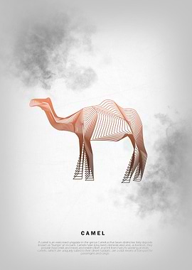 Camel