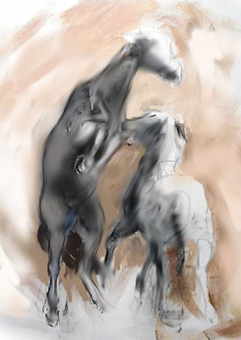 Two Mustang Stallions