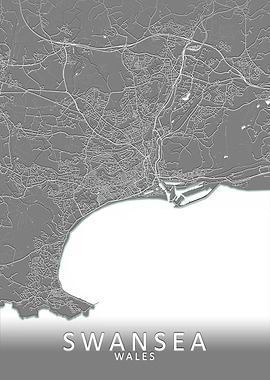 Swansea Grey City Map