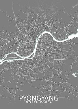 Pyongyang Grey City Map