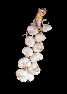 garlic hung in the hut