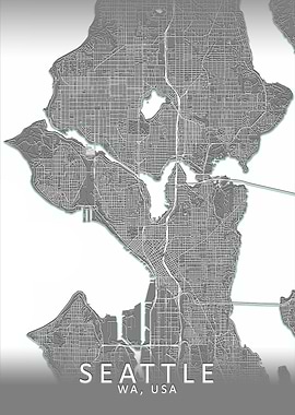Seattle Grey City Map