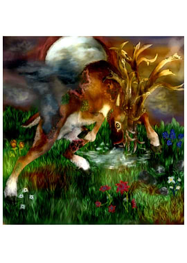 The fall of the Hind