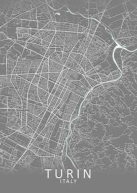 Turin Grey City Map