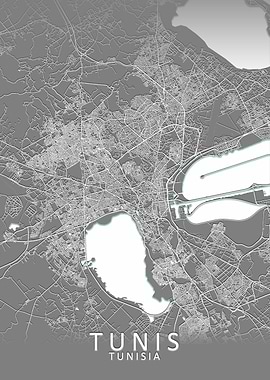 Tunis Grey City Map