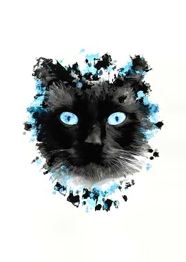 Cat with blue eyes