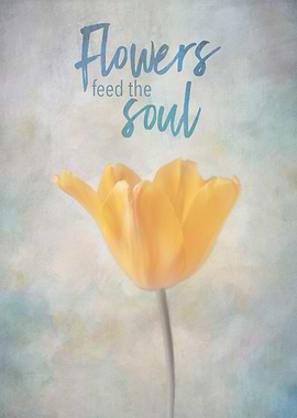 Flowers Feed The Soul