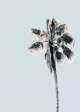 Pink Palm Tree Mint Sky