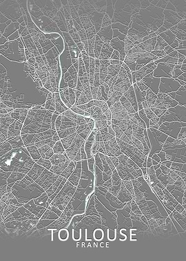Toulouse Grey City Map