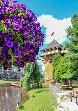 Perspective is Everything