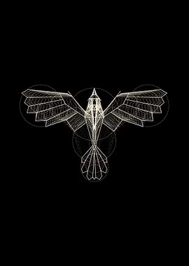 bird geometric