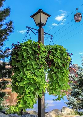 Hidden in Plain Sight