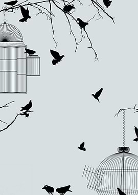 Pigeons and bird cages