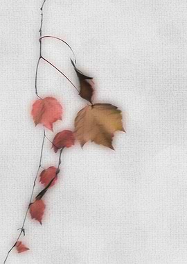 branch of autumnal tree