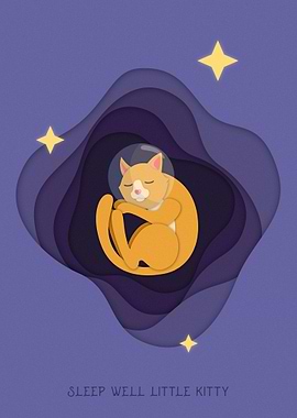 Sleep Well Little Cat