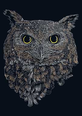 Great Horned Owl