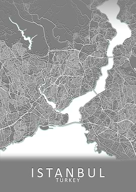 Istanbul Grey City Map