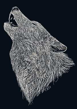 Howling Gray Wolf
