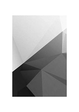 Digital grafic NETWORK 6