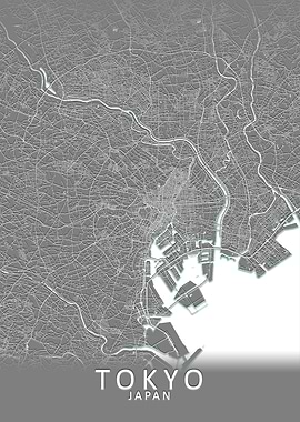 Tokyo Grey City Map