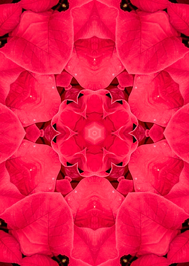 stylized Christmas backgr