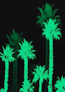 green palm tree