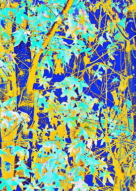 maple leaf in blue yellow