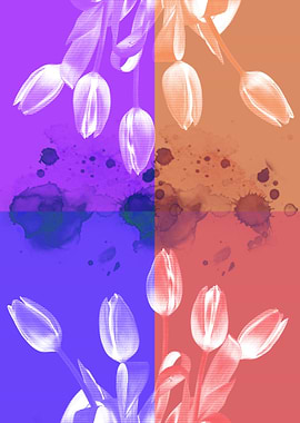 flower tulip mirrored