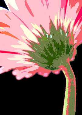 Abstract Daisy 2