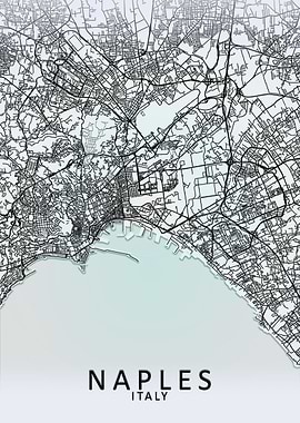 Naples White City Map