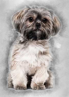 Mixedbreed dog 10 months