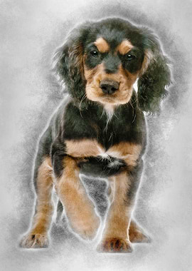 Working Cocker Spaniel 10