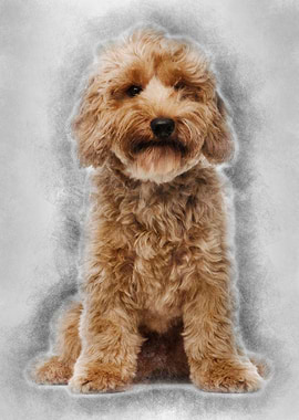 Cross breed dog 7 months o