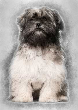 Lhasa apso sitting against