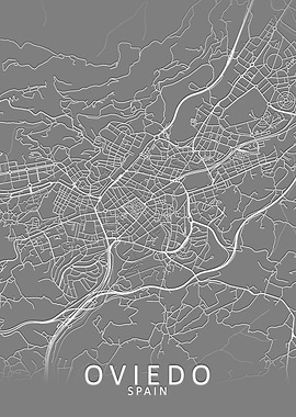 Oviedo Grey City Map