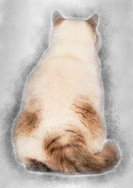 Rear view of a Fat British