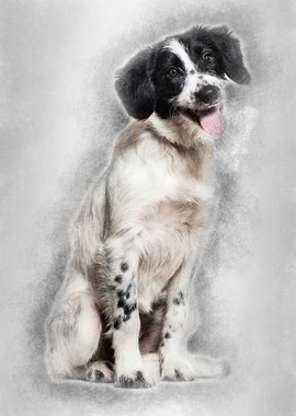 Mixedbreed dog sitting aga