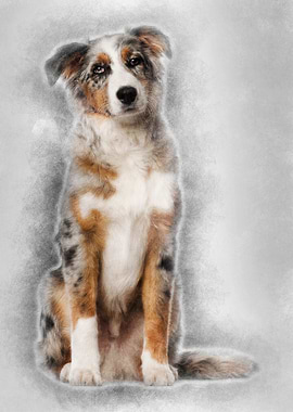 Portrait of Australian She